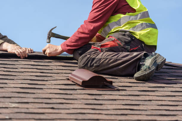 Best Metal Roofing Contractor  in Erie, IL