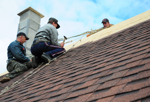 Best Residential Roofing Contractor  in Erie, IL